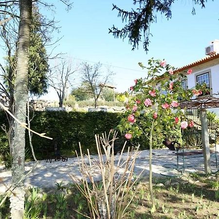 Quinta De Vila Verde- Paixao Ancestral, Turismo Rural Marco de Canaveses Ngoại thất bức ảnh